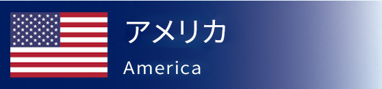 MTM JAPAN株式会社│輸入貿易から卸売販売まで展開する関西最大規模の貿易商社